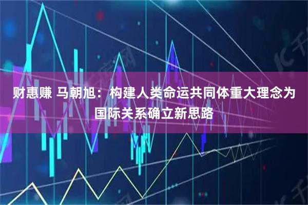 财惠赚 马朝旭：构建人类命运共同体重大理念为国际关系确立新思路