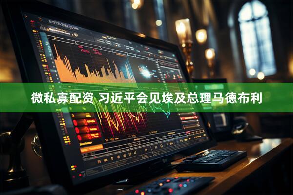 微私寡配资 习近平会见埃及总理马德布利