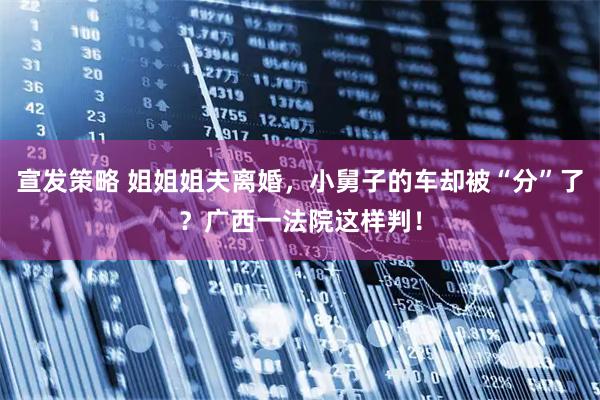宣发策略 姐姐姐夫离婚，小舅子的车却被“分”了？广西一法院这样判！