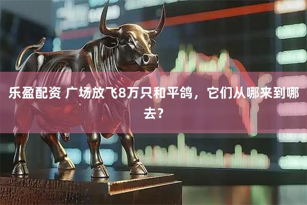 乐盈配资 广场放飞8万只和平鸽，它们从哪来到哪去？