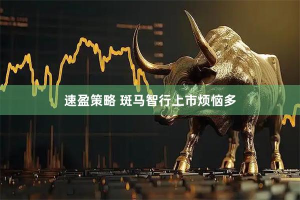 速盈策略 斑马智行上市烦恼多