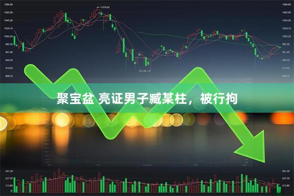 聚宝盆 亮证男子臧某柱，被行拘