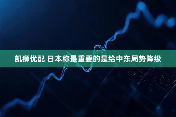 凯狮优配 日本称最重要的是给中东局势降级