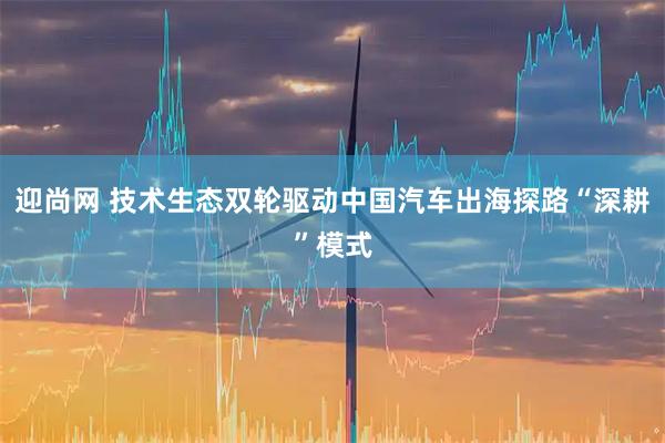 迎尚网 技术生态双轮驱动中国汽车出海探路“深耕”模式