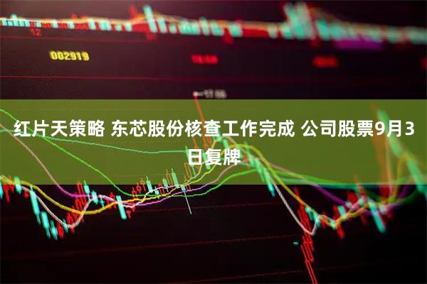 红片天策略 东芯股份核查工作完成 公司股票9月3日复牌