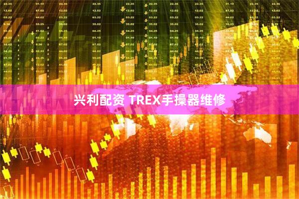 兴利配资 TREX手操器维修